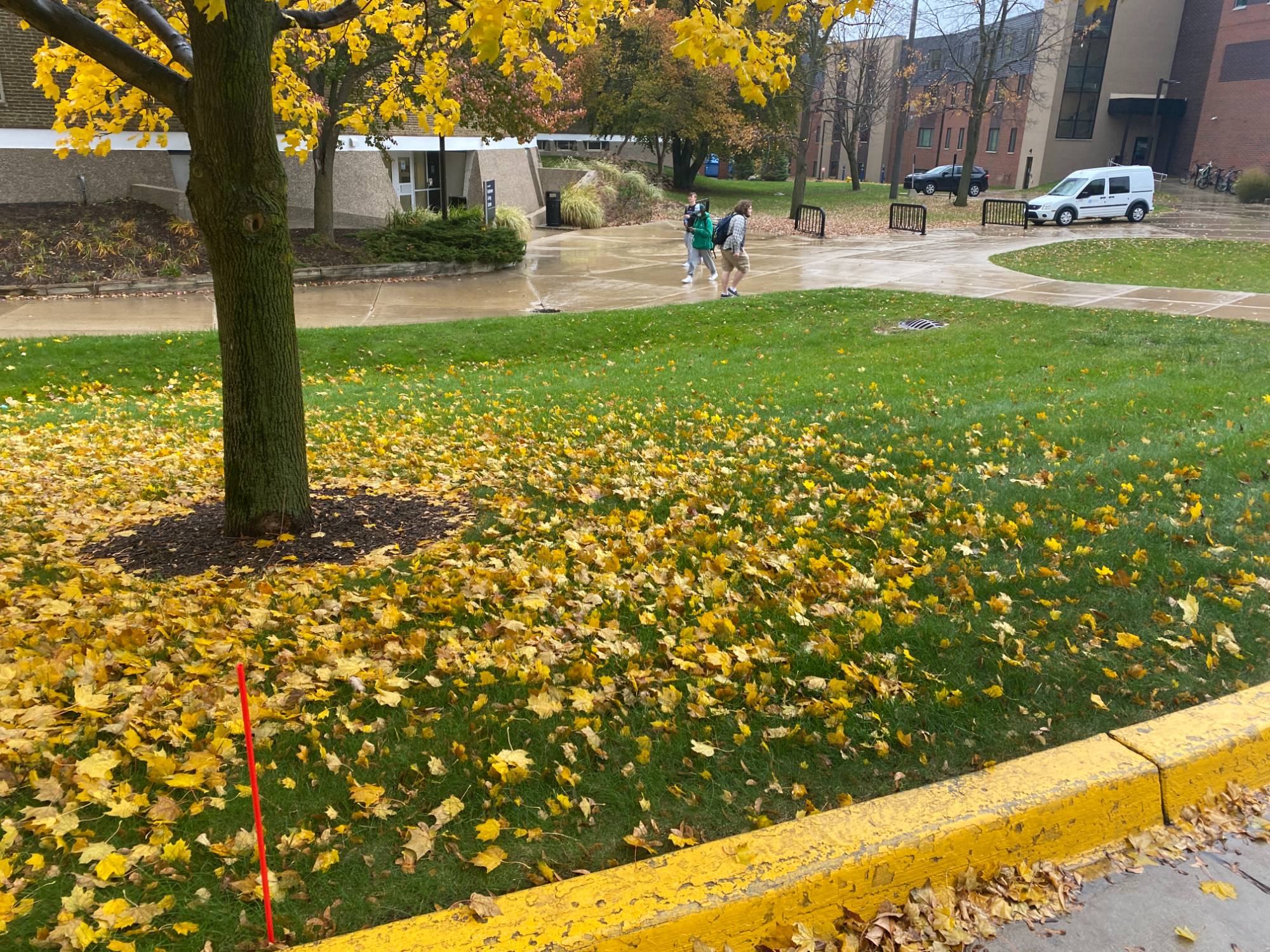 Bioswale outside of Mackinaw Hall on GVSU's campus.